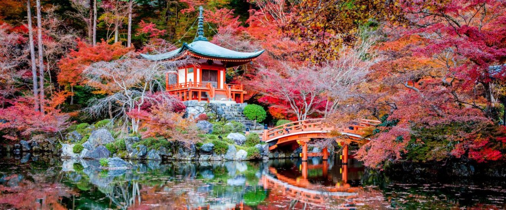 Lola rêve d'aller à Kyoto et nous aussi ! 