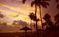 Voyage : Abidjan « Le Manhattan des tropiques »