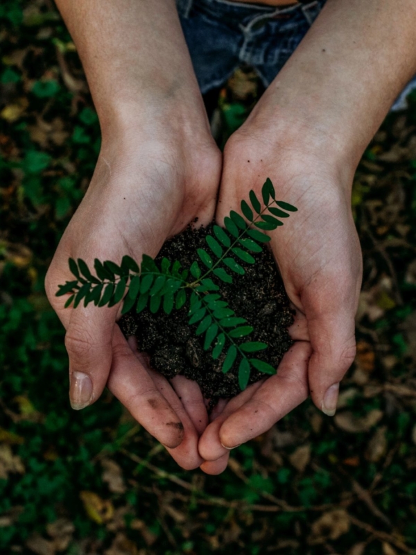 Écologie : 4 points essentiels pour respecter l’environnement