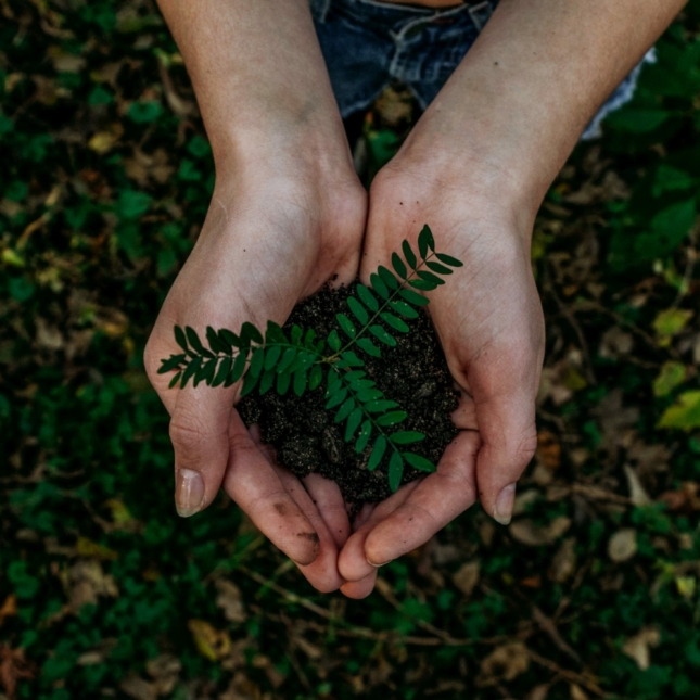 Écologie : 4 points essentiels pour respecter l’environnement