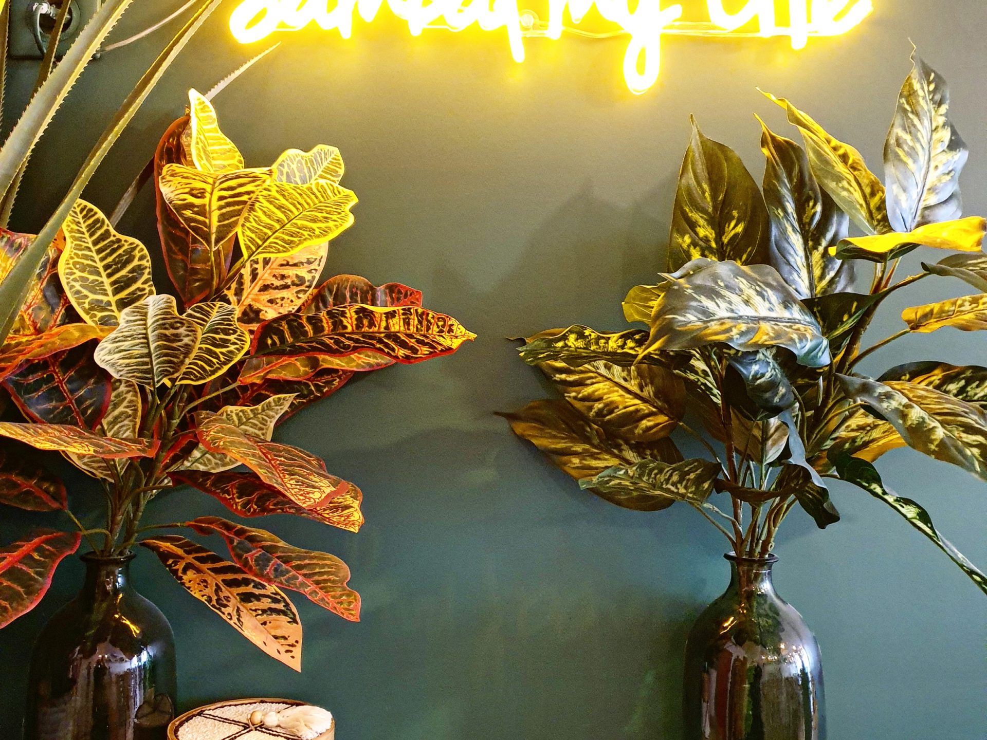 J’ai testé : Le restaurant Djawa à Bordeaux