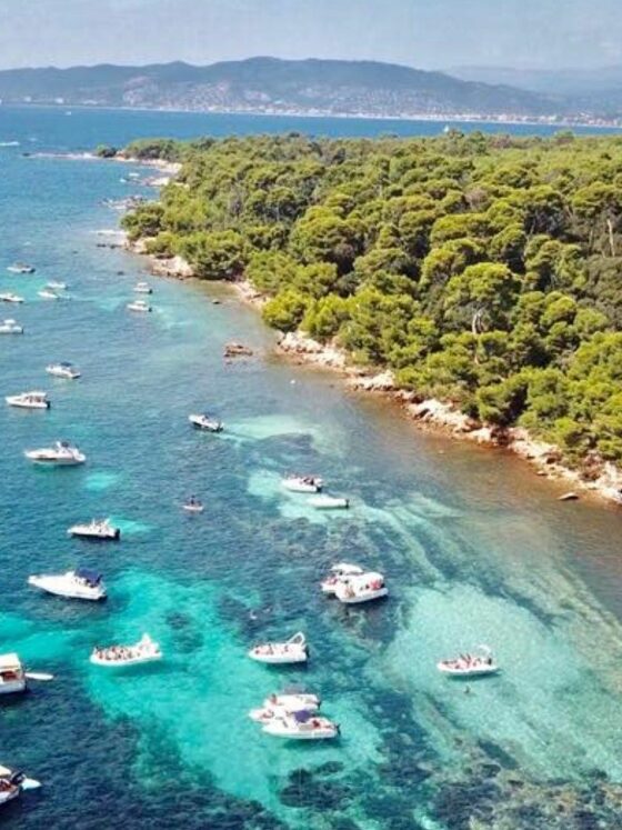 Nos voyages 